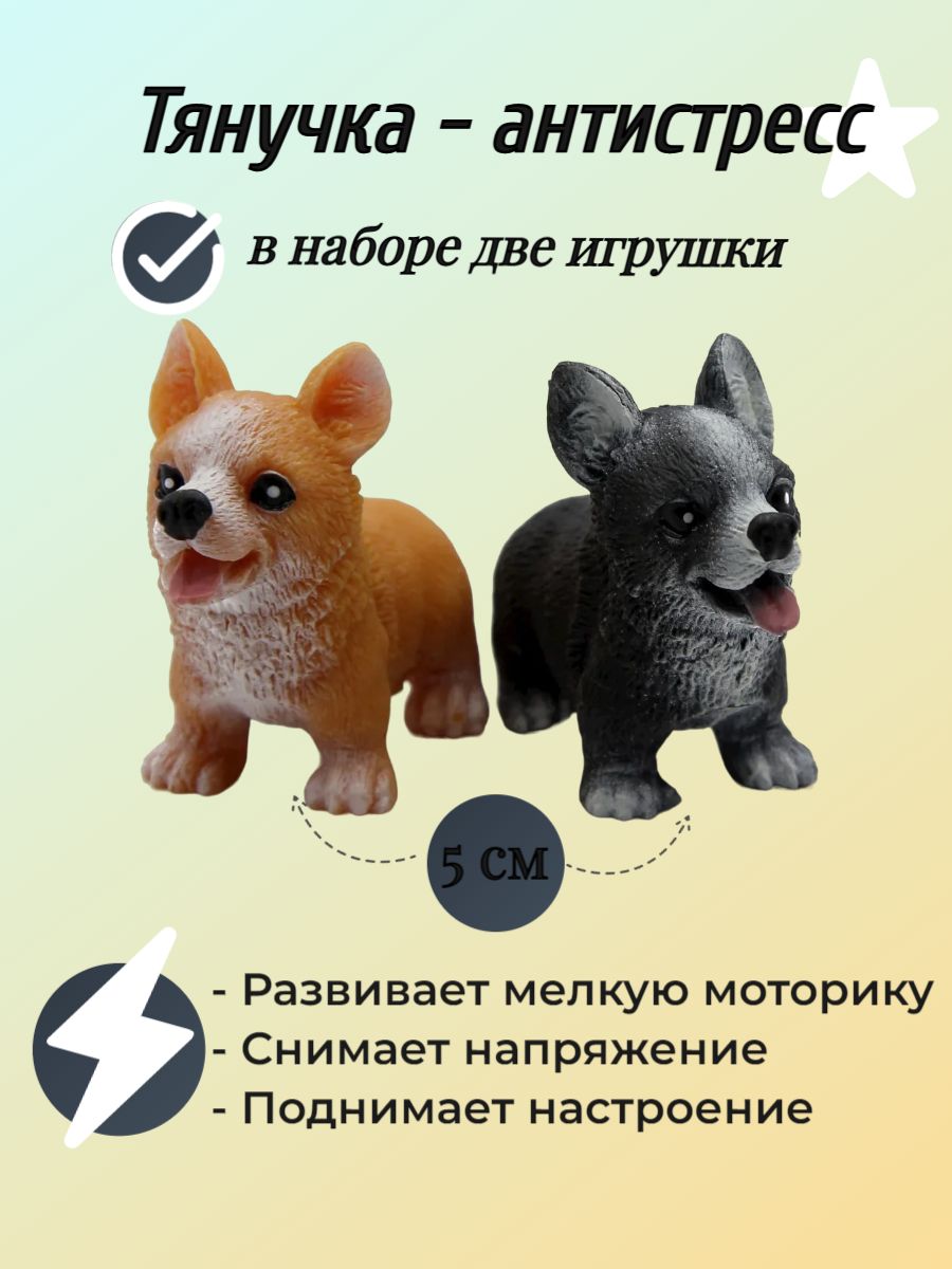 Чихуахуа с выразительными глазами