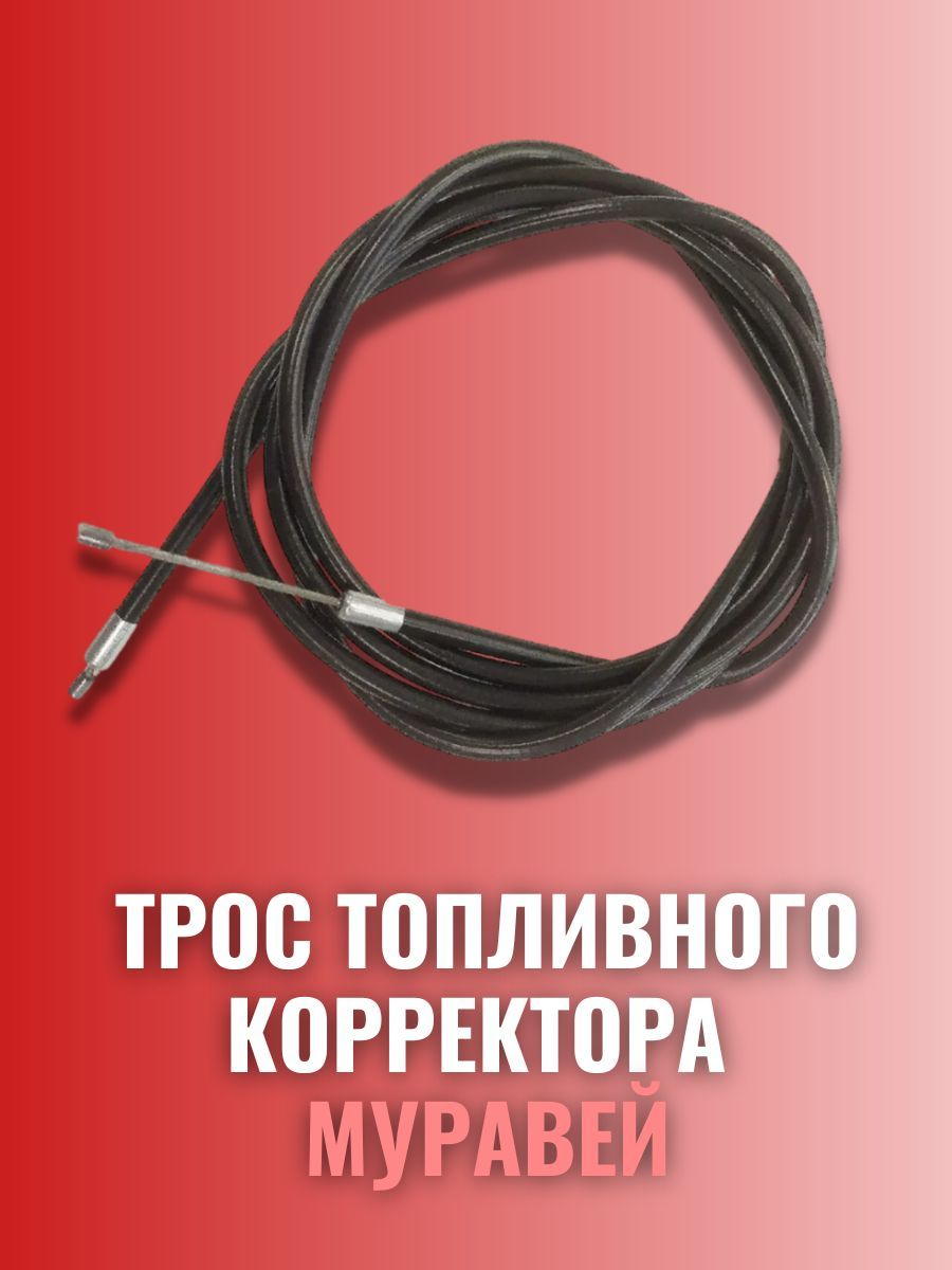 Қытайлық жапондық әйелдің үлкен мүшесі