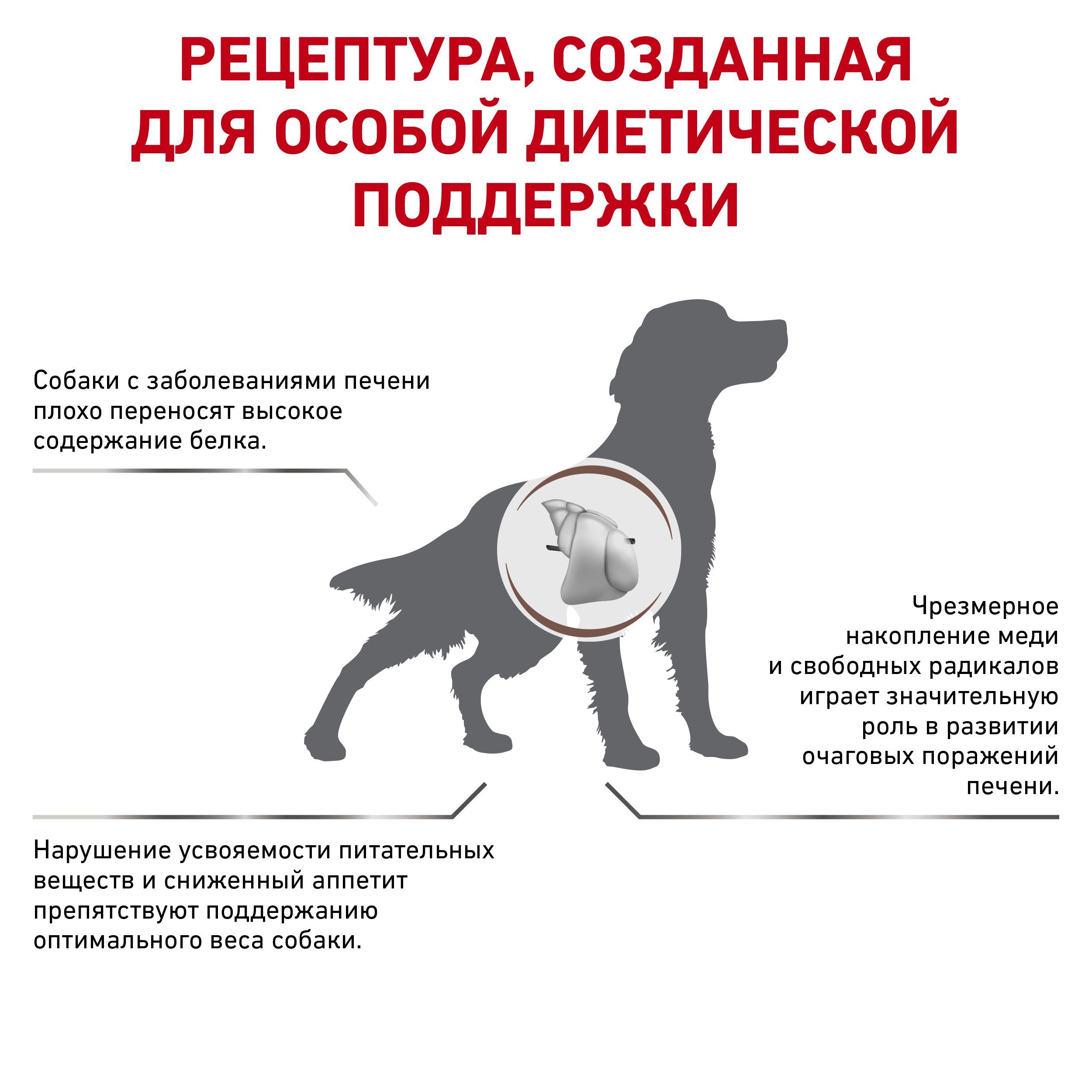 Стадии почечной недостаточности у собак. Royal Canin Cardiac для собак. Собака Ерли Ренал. Собака 12 кг. Гипертония у собак.