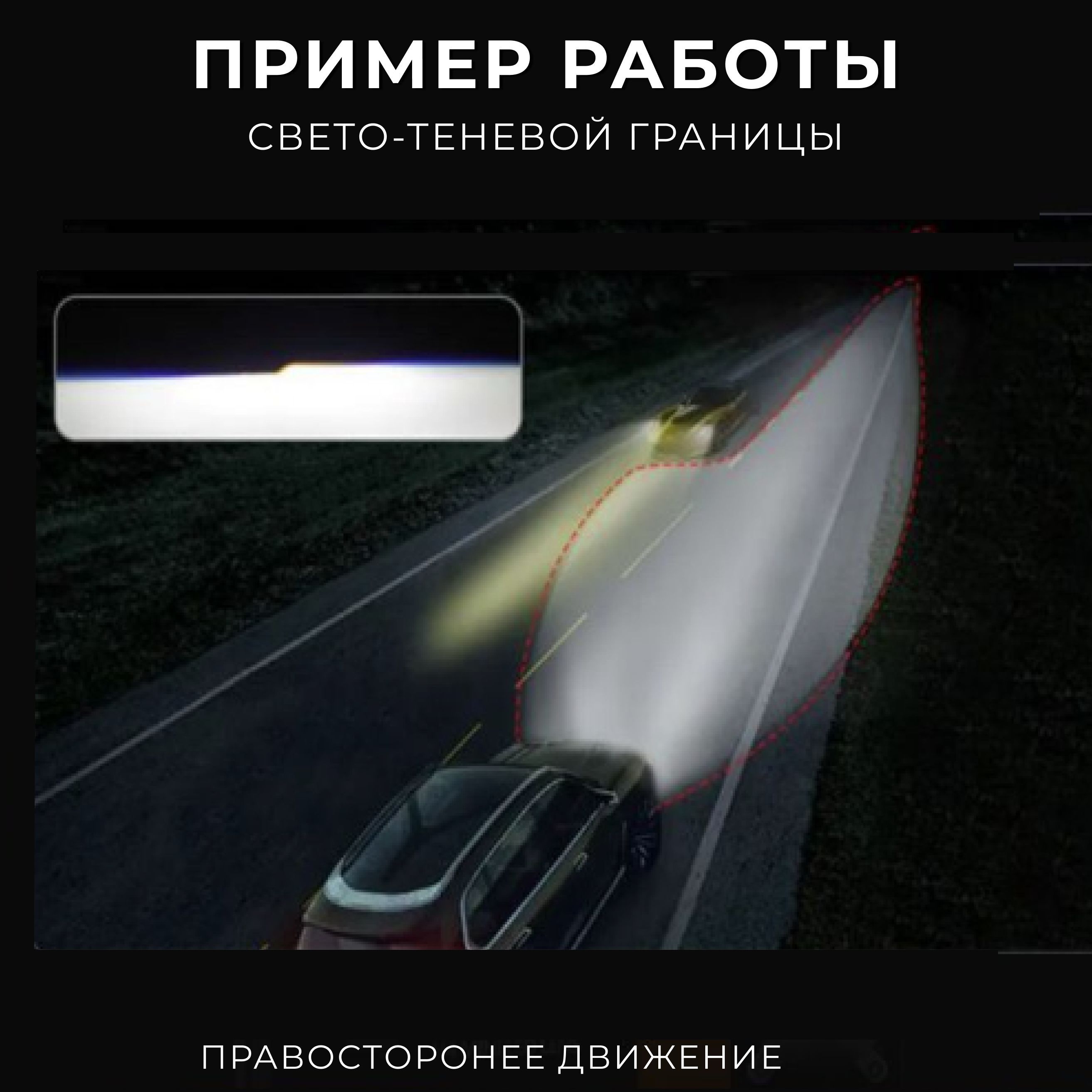 Лампа автомобильная xento. 12В/24В, 12 В, 2 шт. купить по низкой цене с  доставкой в интернет-магазине OZON (1183473717)