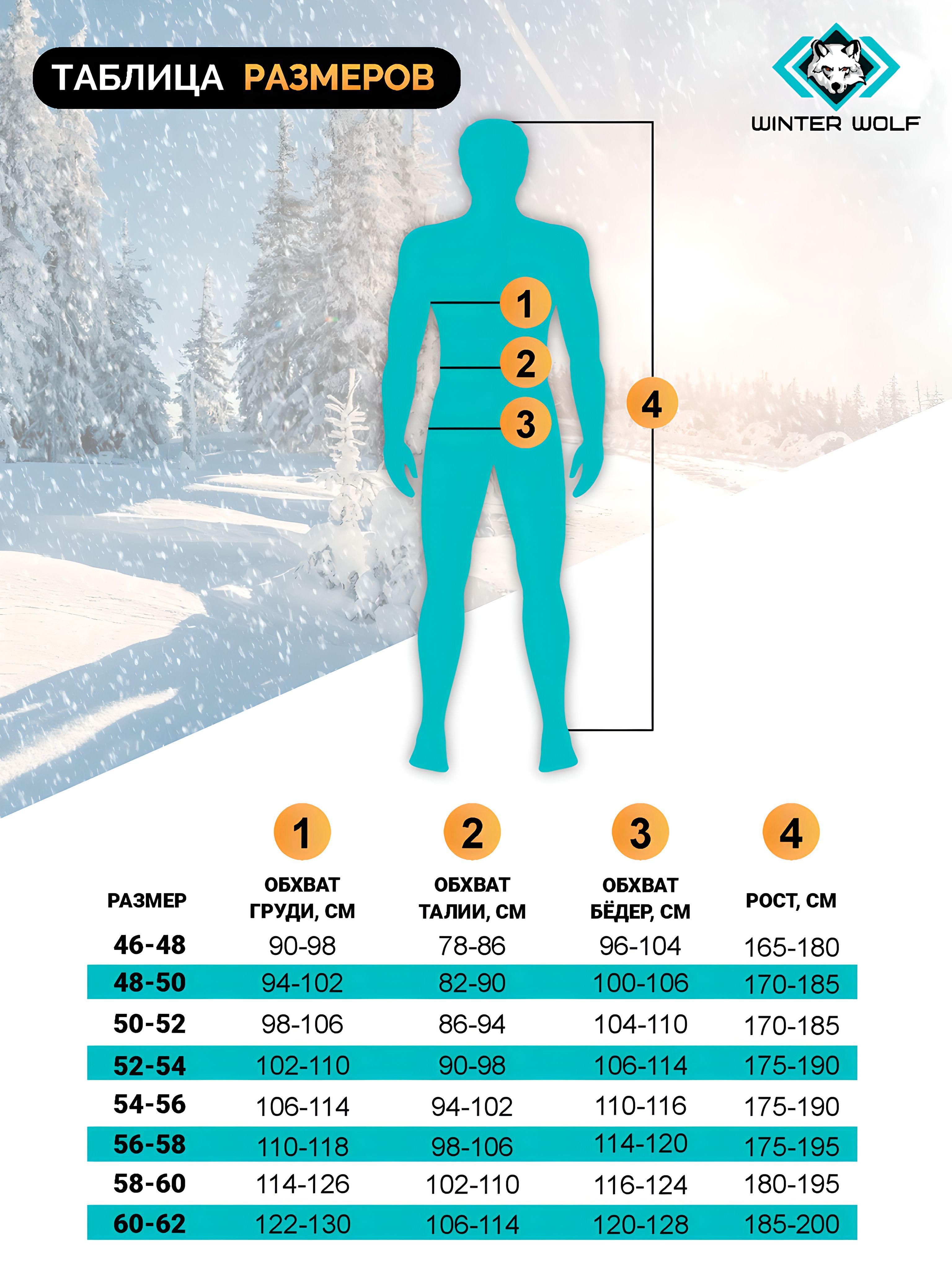 Комплект термобелья Winter Wolf 55, 54 - купить по выгодной цене в  интернет-магазине OZON (1179327917)