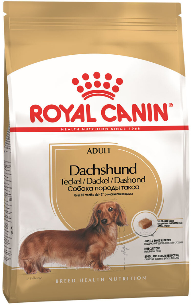 teckel royal canin