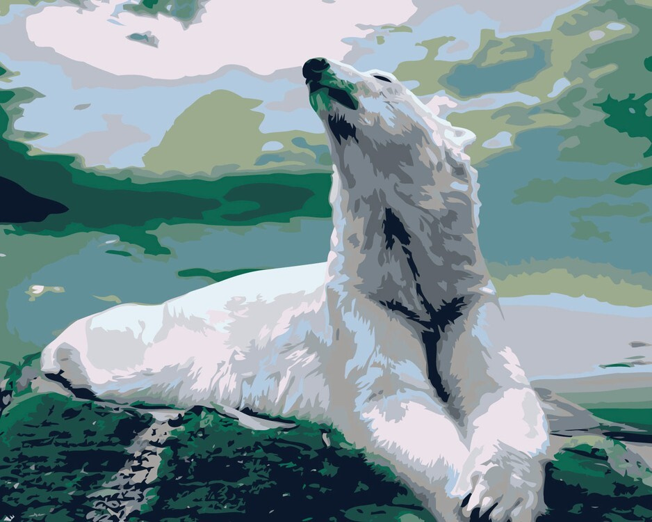 Белый медвежонок раскраска - 67 фото