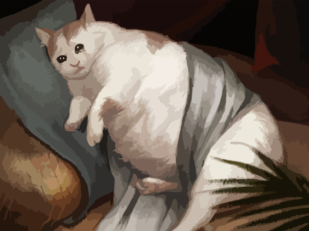 картина по номерам толстый кот