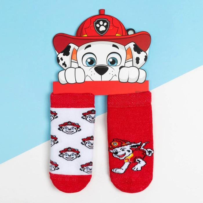 Носки Paw Patrol #1