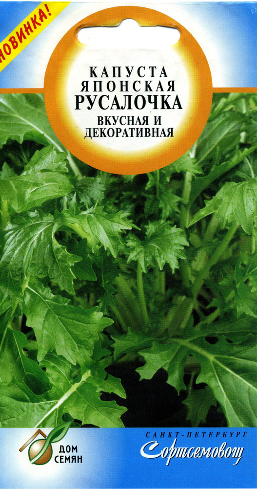 Основные этапы выращивания растения