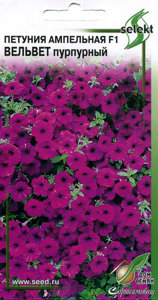 Петунии, Однолетние декоративные травы Дом семян Петуния ампельная F1 ...