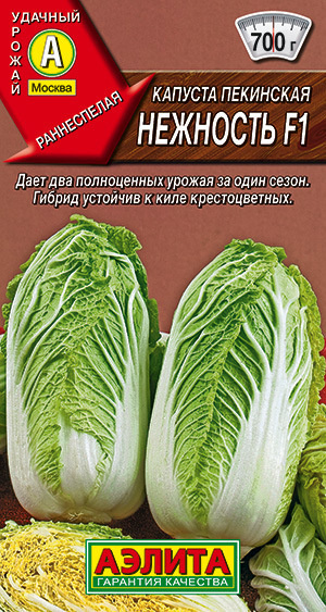 Капуста Пекинская Нежность раннеспелая, 2 урожая за сезон  #1