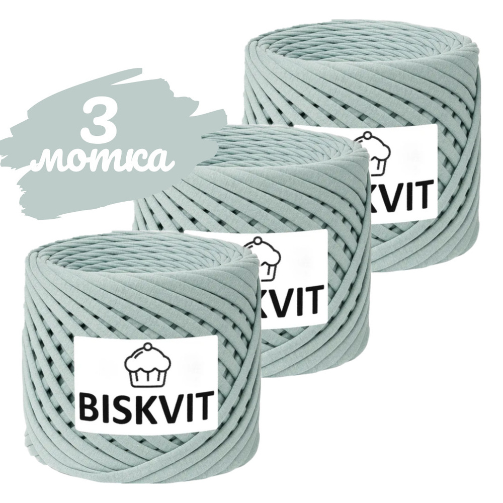 Трикотажная пряжа Biskvit камбоджа, 100м., лицевая,3шт. (бисквит)  #1