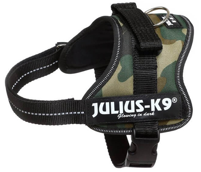 Julius k9 best sale