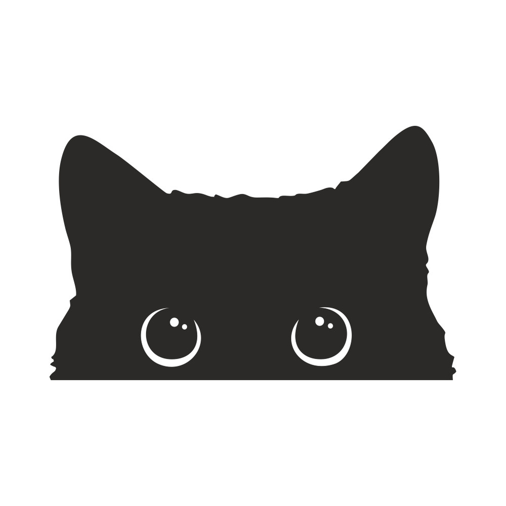 Наклейка выглядывающий котенок, 16х10 см - купить по выгодным ценам в  интернет-магазине OZON (644998858)
