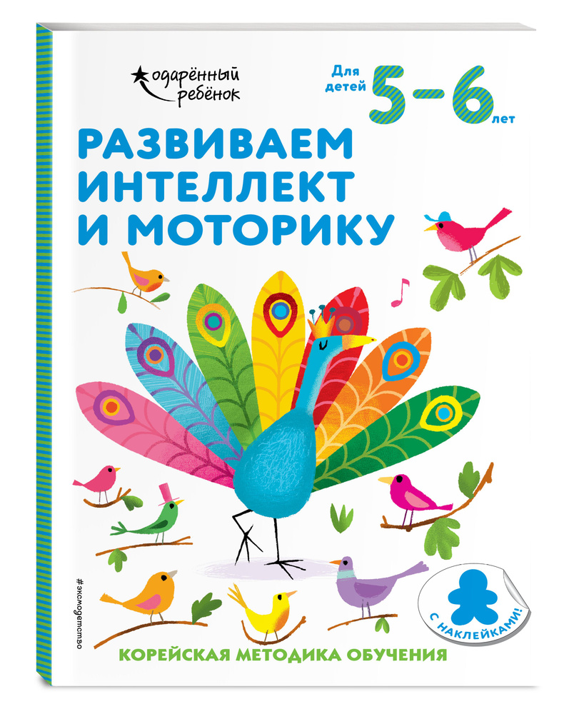 Развиваем интеллект и моторику: для детей 5-6 лет (с наклейками) #1