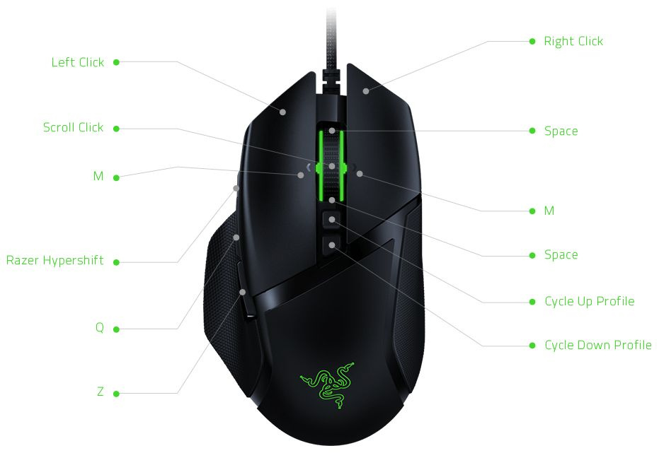 Razer v3 x. Razer Basilisk v3 Hyperspeed. Razer Basilisk x. Razer Basilisk v3 купить.