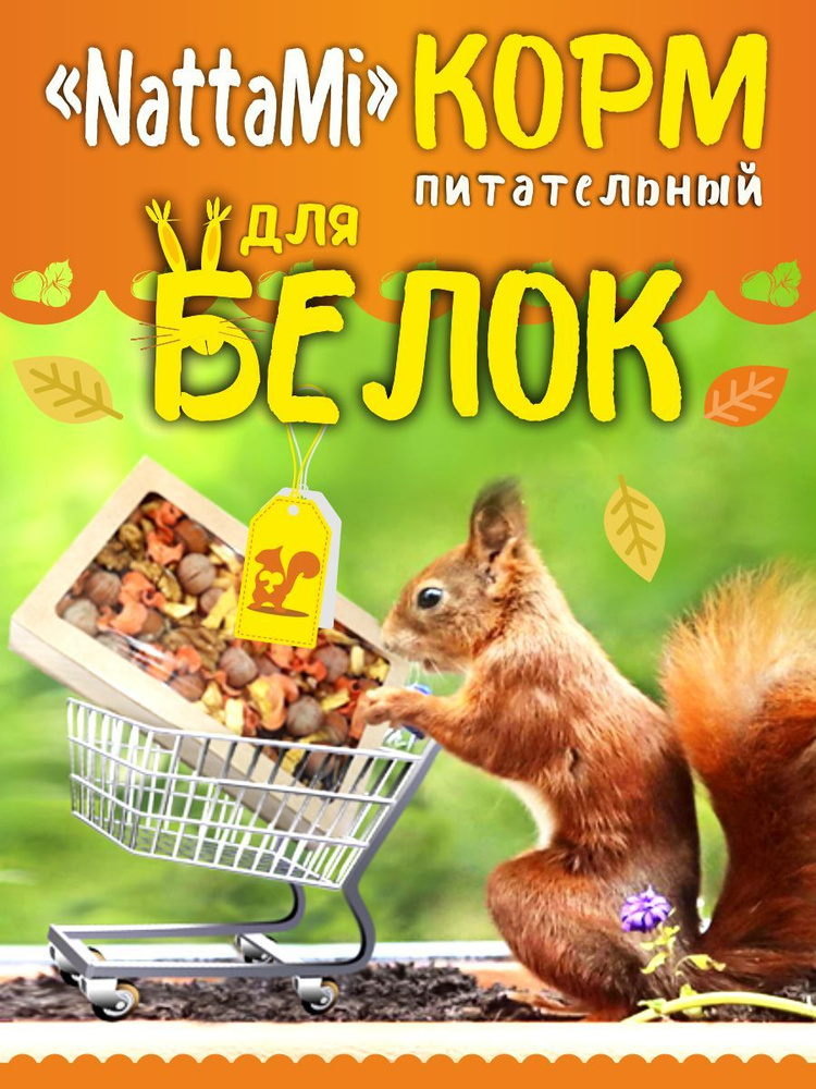 Корм для белок домашних, лесных и парковых - купить с доставкой по ...