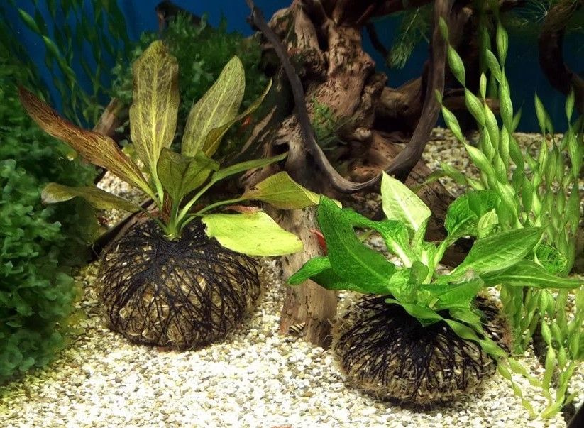Tropica Substrate 2,5 л, (3 кг) - питательный грунт для аквариумов до 85 литров