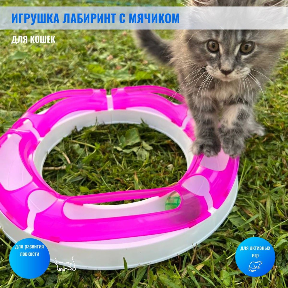 Игрушка для кошек Шурум-Бурум интерактивный трек с шариком, пирамида игра.  - купить с доставкой по выгодным ценам в интернет-магазине OZON (191127674)