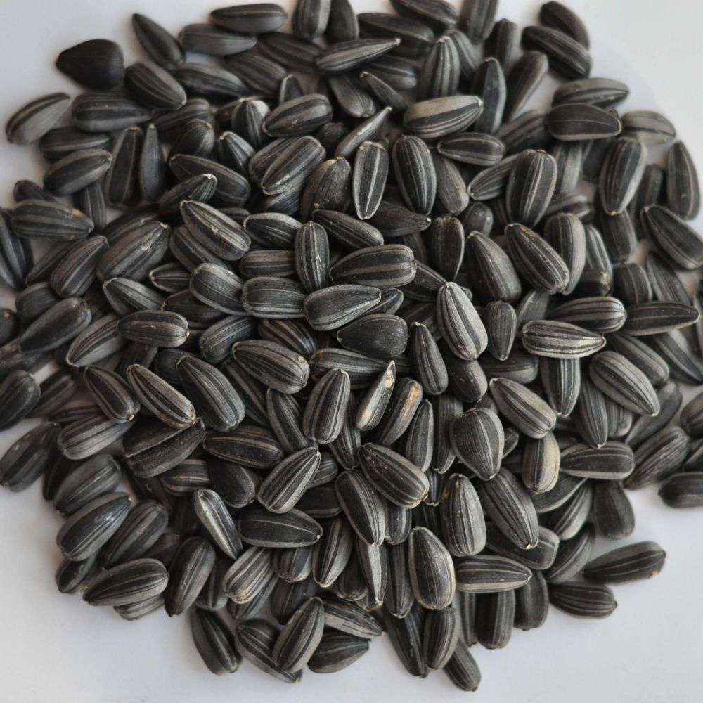 Семена подсолнечника сырые в скорлупе - 40 калибр - 5 кг / Семечки неочищенные  #1
