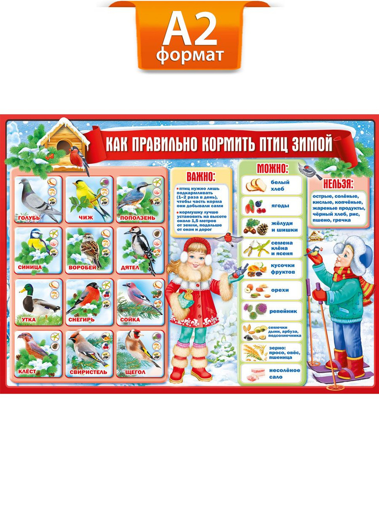 Плакат обучающий "Как правильно кормить птиц зимой", формат А2, картон  #1