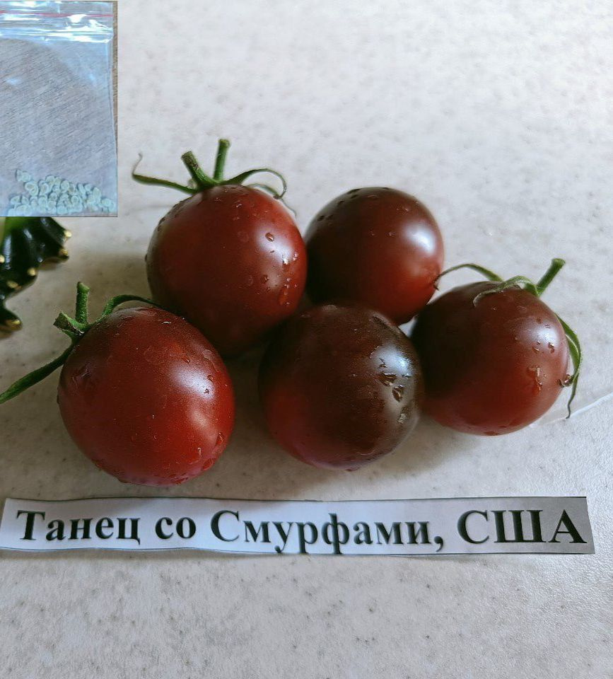 Семена #1