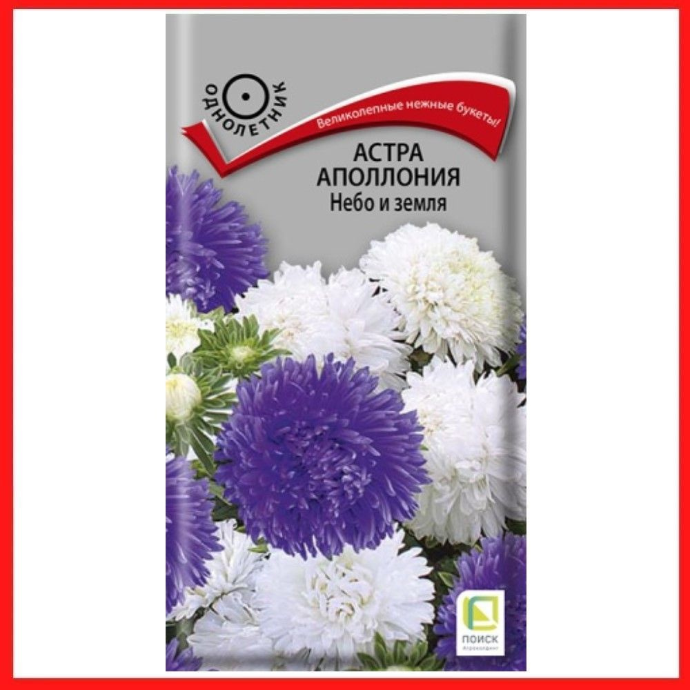 Семена Астра Аполлония "Небо и земля" 0,3 гр, однолетние цветы для дачи, сада и огорода, клумбы, в открытый #1