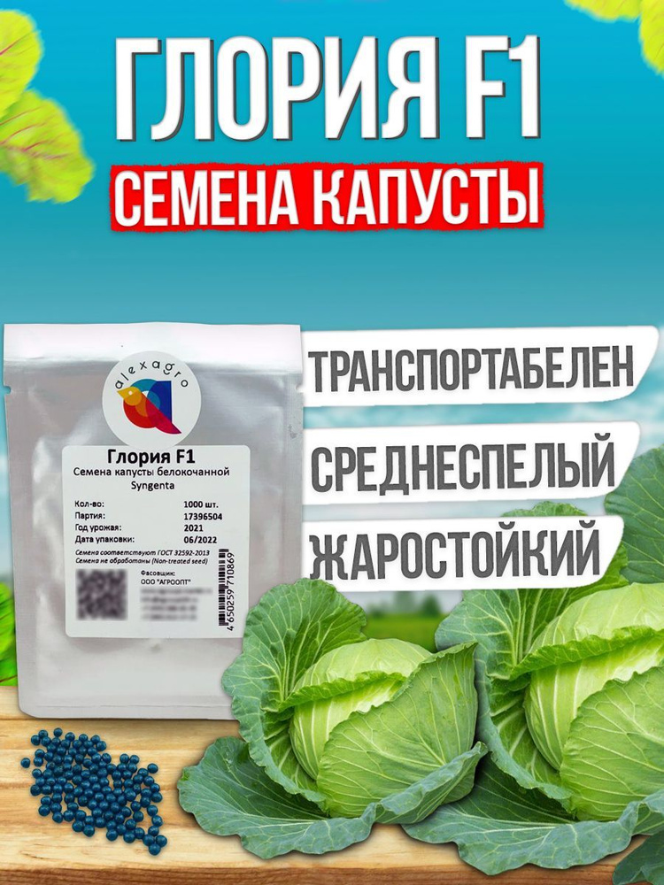 Глория F1 семена капусты белокочанной, 1000 шт (Syngenta / ALEXAGRO). Высокоурожайный, среднеранний гибрид #1