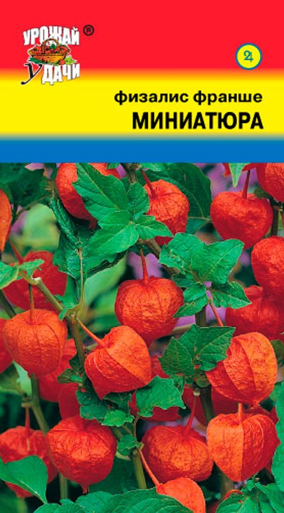 Физалис карликовый ФРАНШЕ МИНИАТЮРА (Семена УРОЖАЙ УДАЧИ, 0,1 г семян в упаковке)  #1