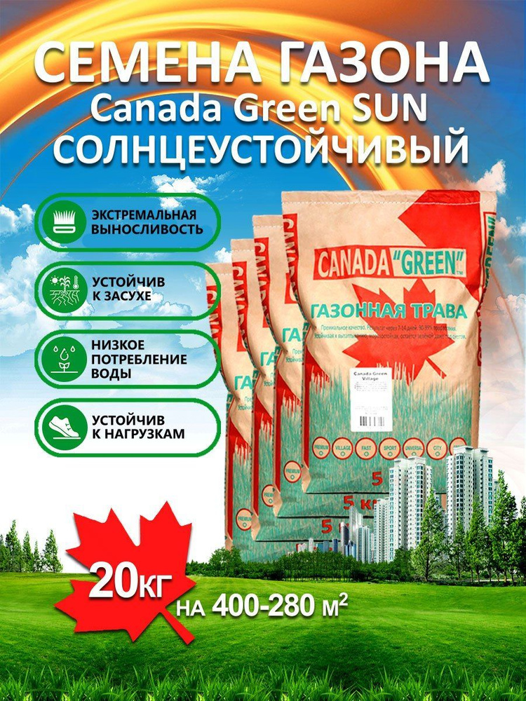 Газонные травы, Различные травы Canada Green Газон Солнечный_4 - купить ...