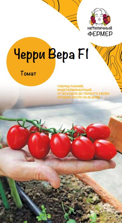 Профессиональные семена томатов "Черри Вера" суперранний "Нетипичный фермер" #1