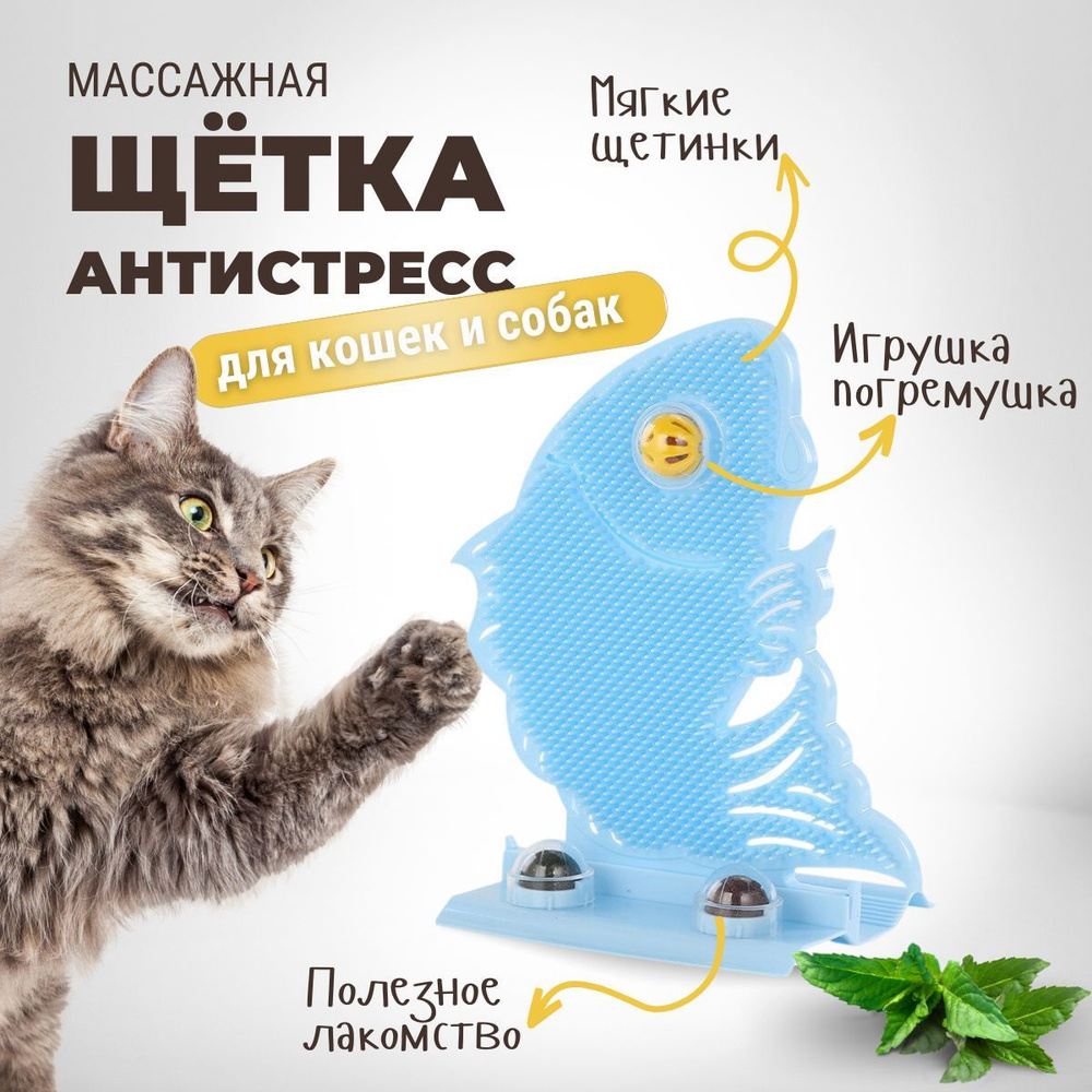 Чесалка для кошек с кошачьей мятой, AK&SA - купить с доставкой по выгодным  ценам в интернет-магазине OZON (905999117)