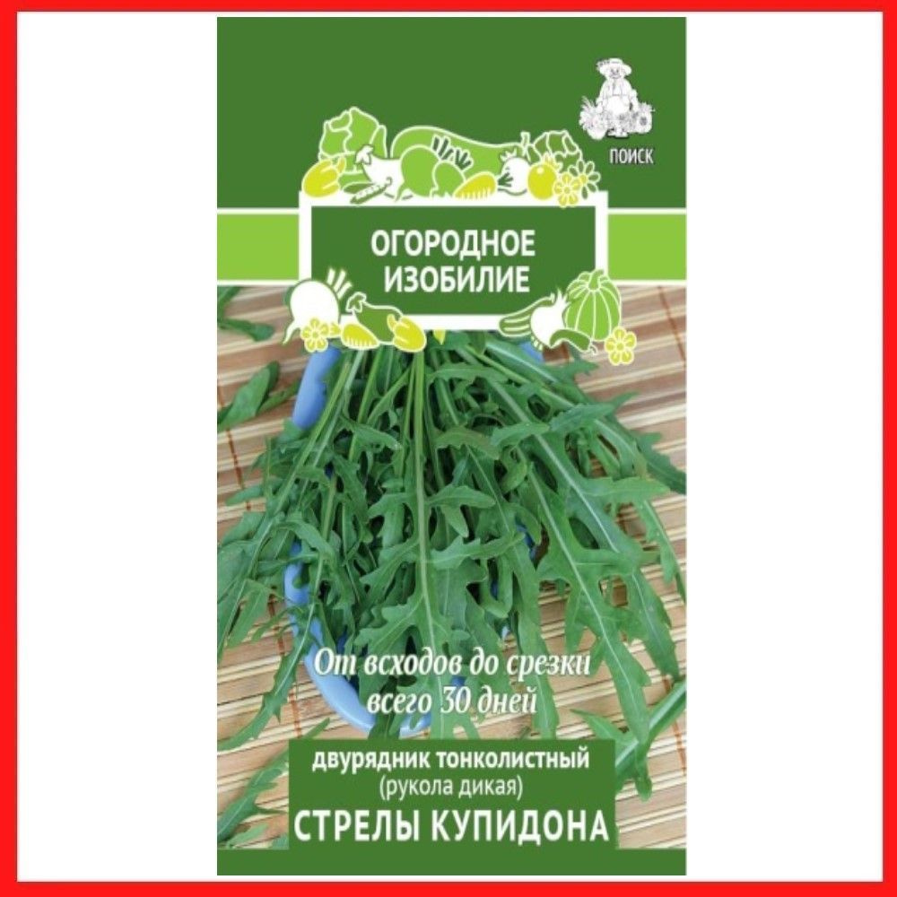 Семена Двурядник тонколистный "Стрелы Купидона" 1 гр, для дома, дачи и огорода, пряные травы, рукола #1