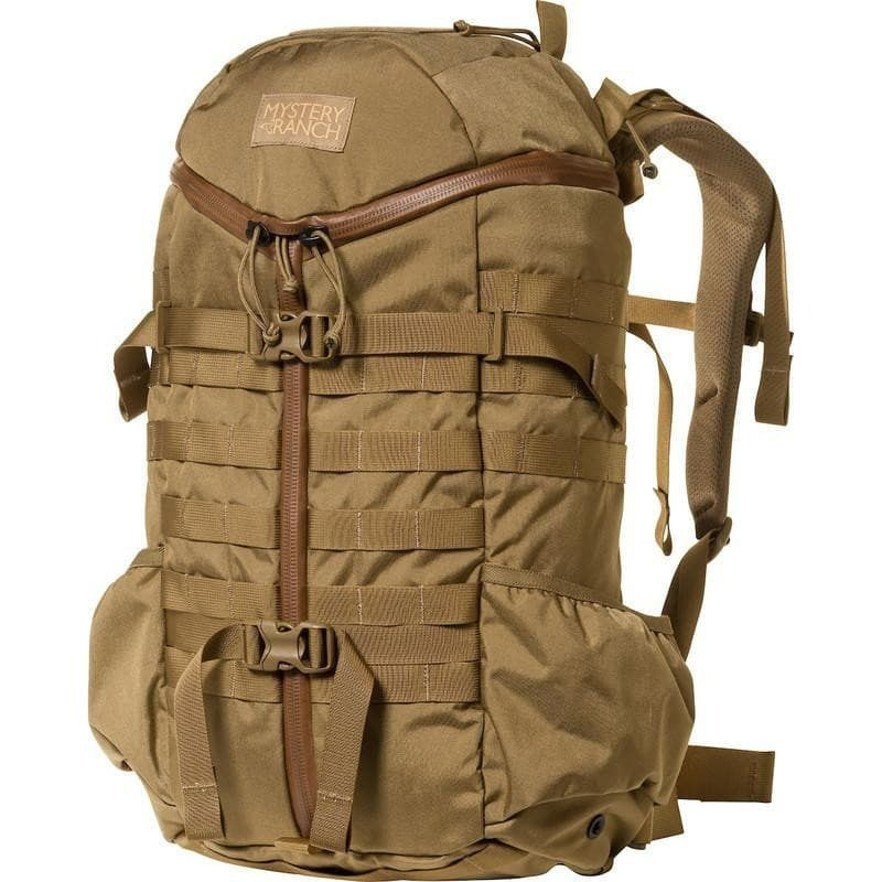 Mystery ranch 2 cheap day assault backpack