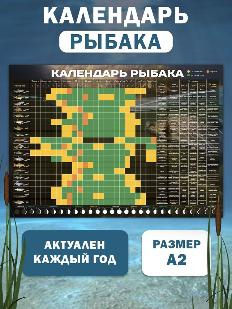 Прикольные подарки рыбаку. Что подарить рыбаку на день рождения - заказать | сувениров