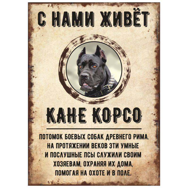 Табличка, декоративная, DANGER DOG, С нами живет Кане-корсо, 18см