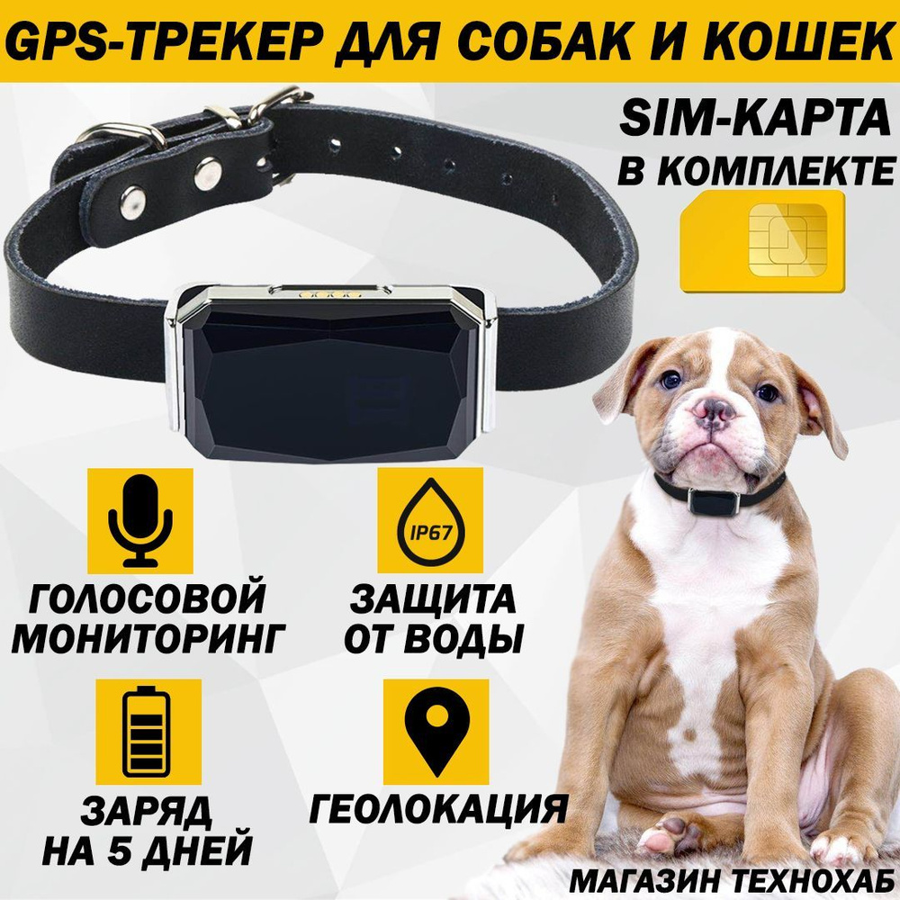 GPS-трекер G12P для Собак, Кошек (Котов) с Ошейником / С Дистанционным  Вкл./Откл. GPS (Держит заряд 3-5 ДНЕЙ с выкл. GPS)