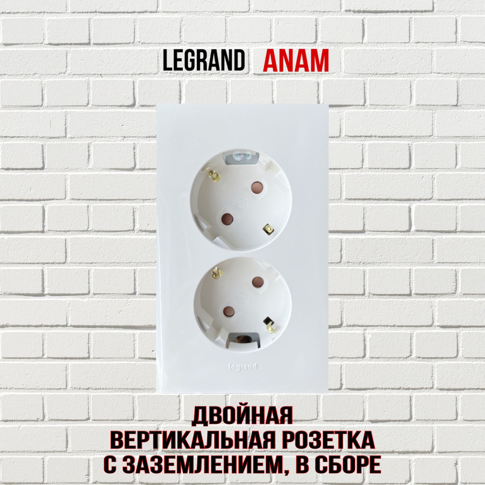Розетка двойная Legrand Anam с заземлением вертикальная (45 градусов) в ...