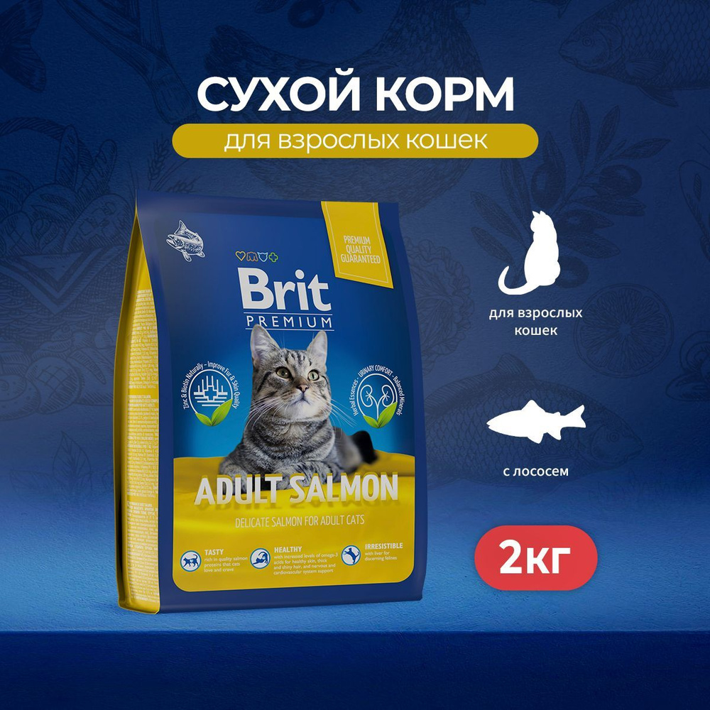 Brit premium adult salmon best sale