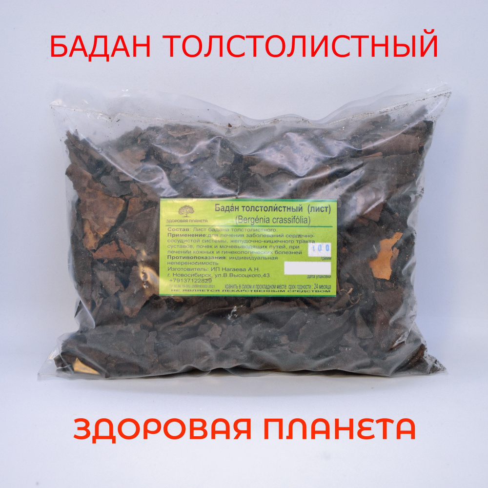 Бадан толстолистный лист 100 грамм #1