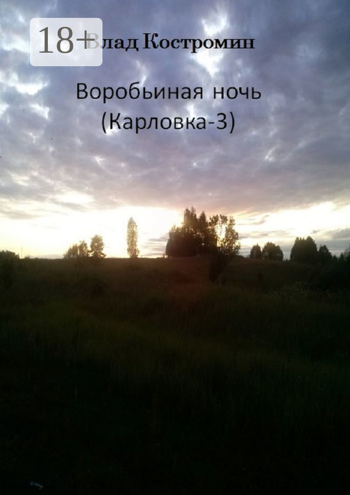 Воробьиная ночь. Карловка-3 | Костромин Влад #1