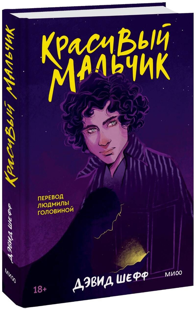 Book Красивый мальчик | Шефф Дэвид #1