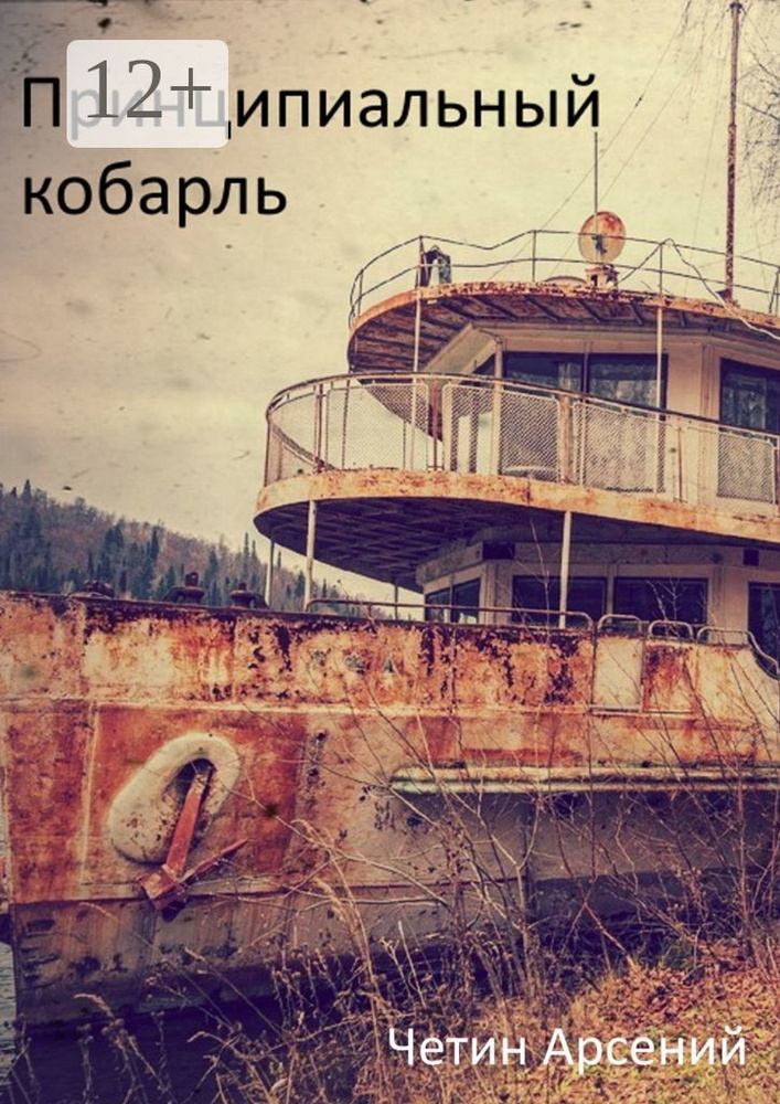 Принципиальный корабль | Четин Арсений Александрович #1