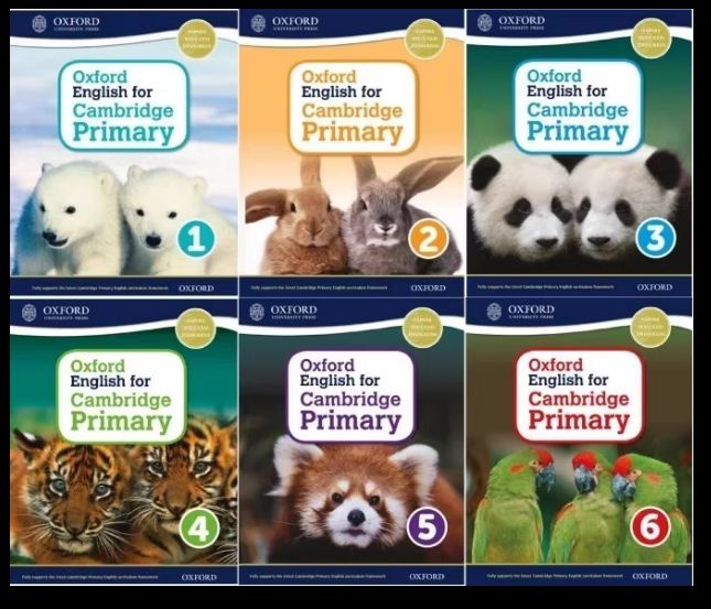 Учебники Oxford English for Cambridge Primary Teacher book 6 - купить с ...
