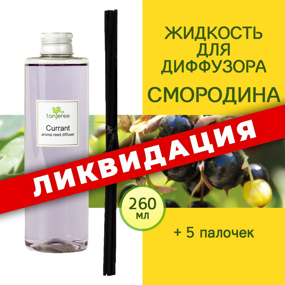 Наполнитель для ароматического диффузора Tanjeree, Жидкий, Смородина, 260  мл купить по доступной цене с доставкой в интернет-магазине OZON (524458946)