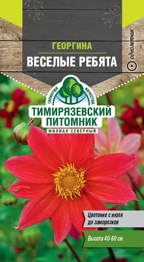 Семена Тимирязевский питомник цветы георгина Веселые ребята 0,2г  #1