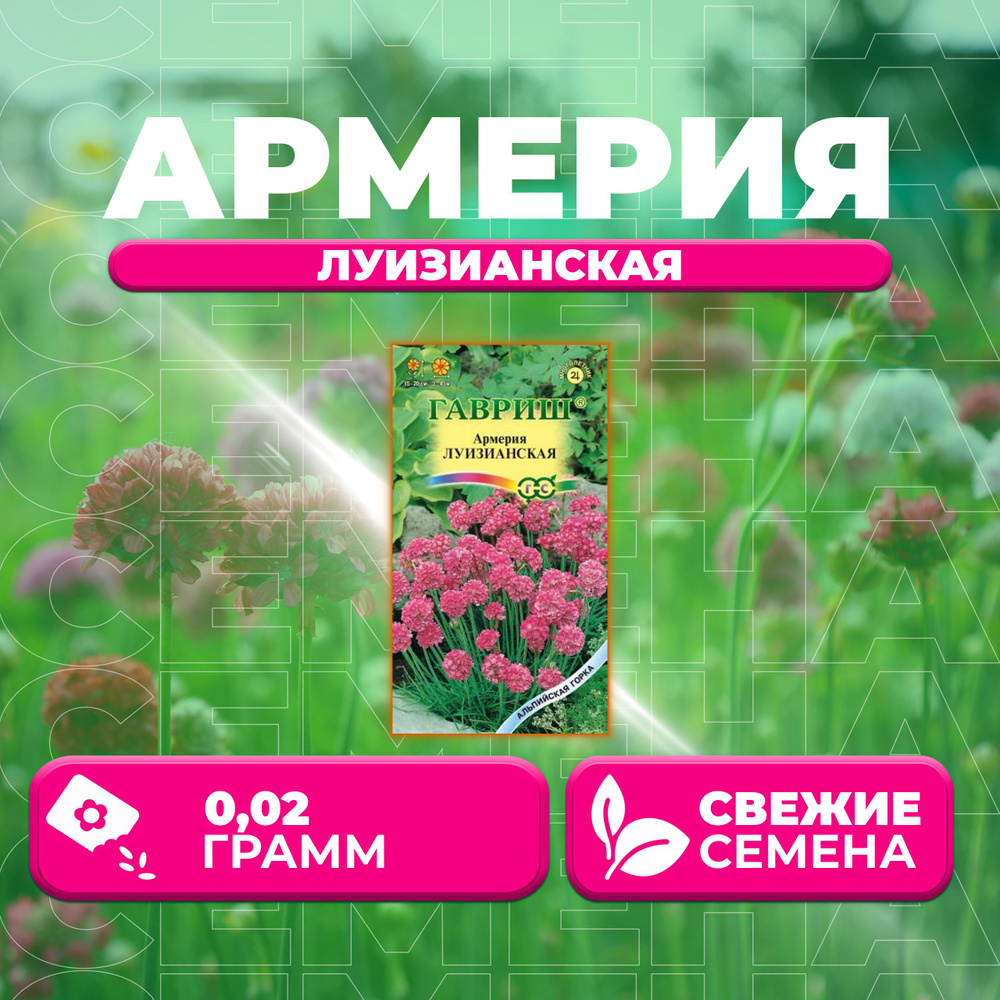 Армерия Луизианская, 0,02г, Гавриш, Альпийская горка (1 уп)  #1