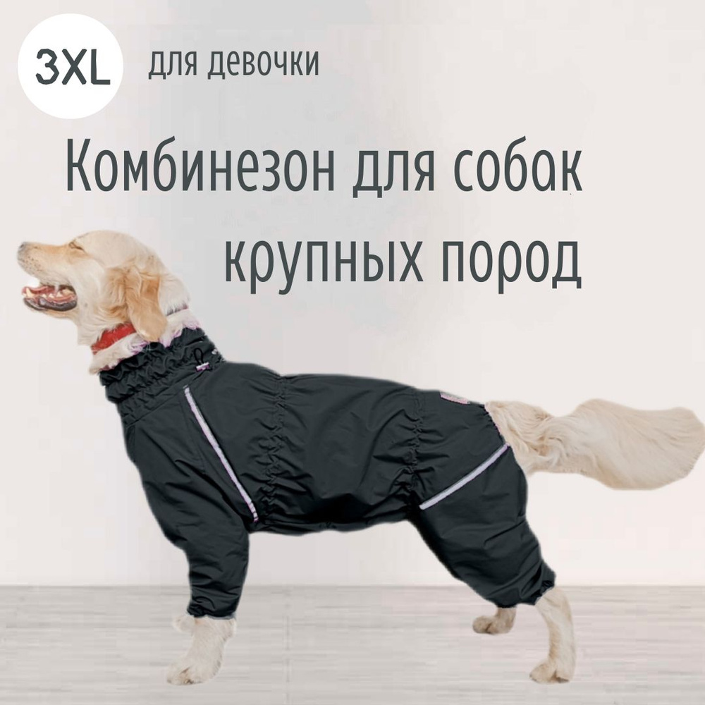 Комбинезон дождевик для собак с закрытым пузиком (для мальчика/для ...