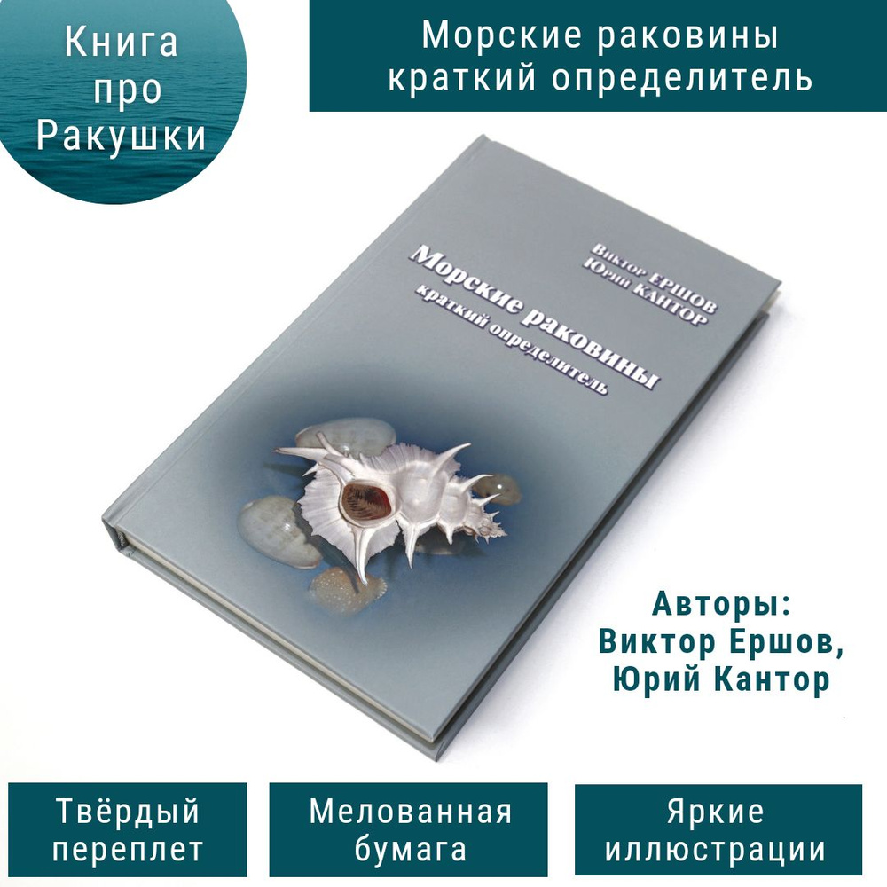 Книга. Морские раковины. Краткий определитель. Новая. | Ершов Виктор  Евгеньевич - купить с доставкой по выгодным ценам в интернет-магазине OZON  (1327003112)