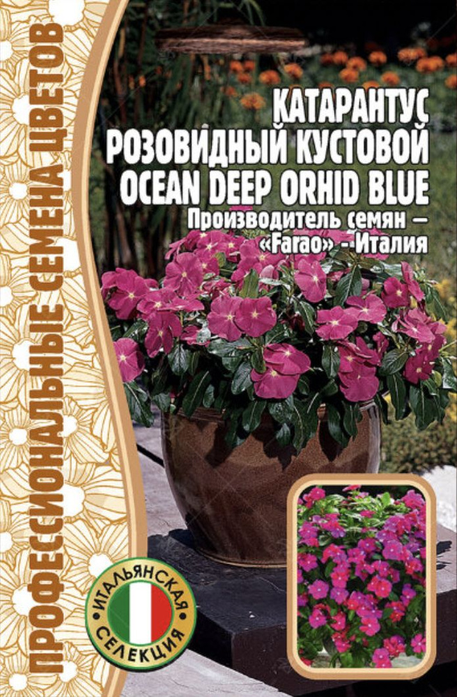 Катарантус розовидный кустовой Ocean Deep Orhid Blue, 1 пакет, семена 5 шт, ЧК  #1