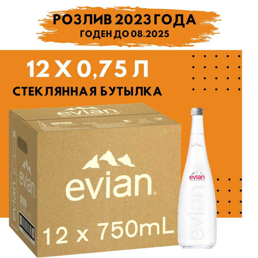 Evian Вода Минеральная Негазированная 750мл. 12шт - купить с доставкой по  выгодным ценам в интернет-магазине OZON (880800517)