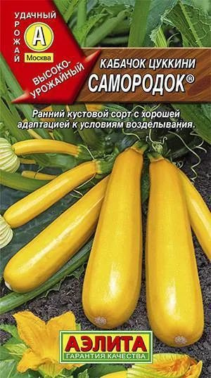 Семена Кабачок цуккини Самородок (1г) - Аэлита #1