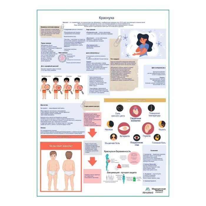 Краснуха, медицинский плакат, глянцевая фотобумага от 200 г/кв.м, размер A2+  #1